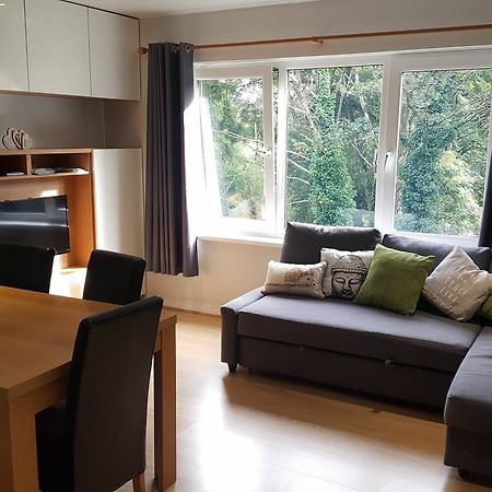 Stranmillis Court Apartment Belfast Eksteriør bilde